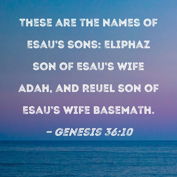 Genesis bore adah eliphaz esau