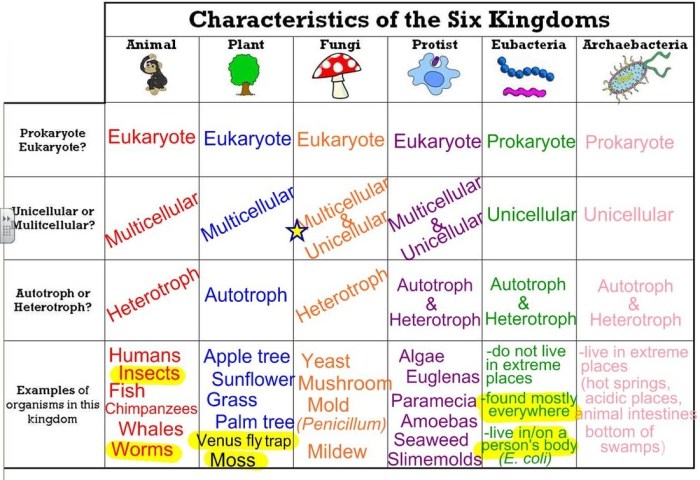 Domains and kingdoms answer key