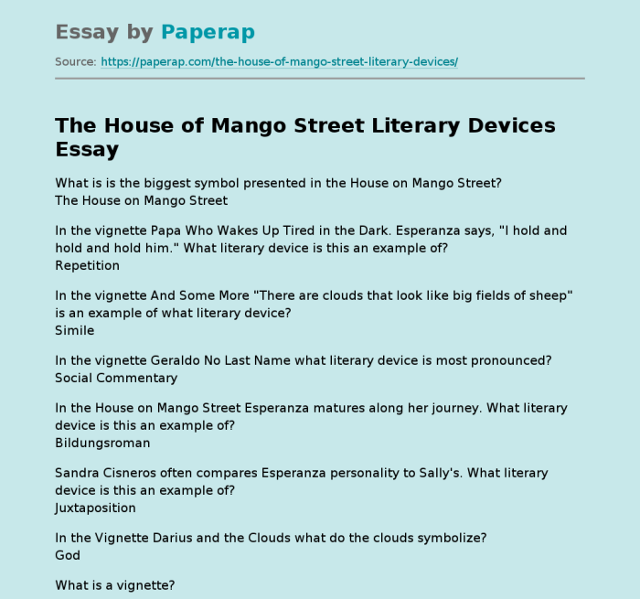 House on mango street literary devices