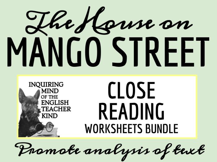 House on mango street literary devices