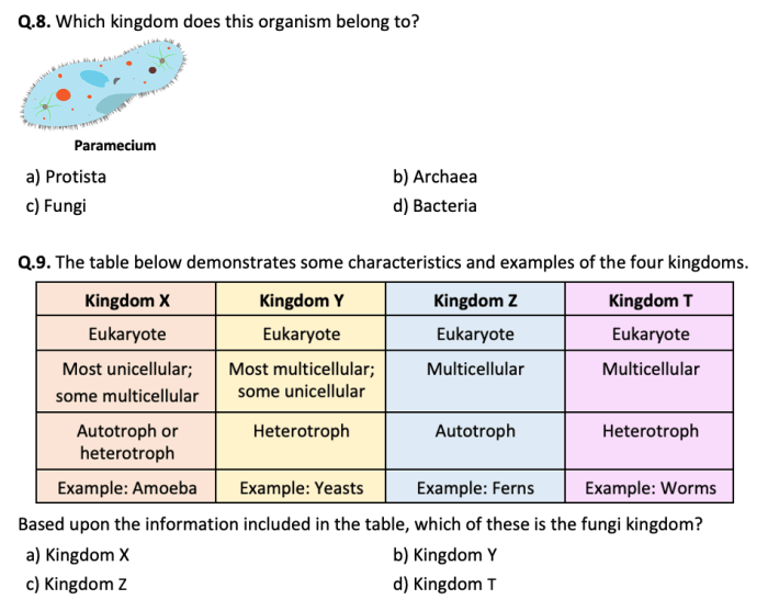 Domains and kingdoms answer key