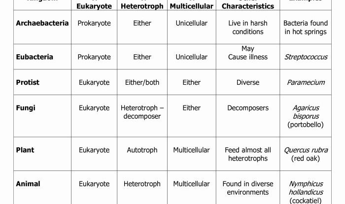 Domains and kingdoms answer key