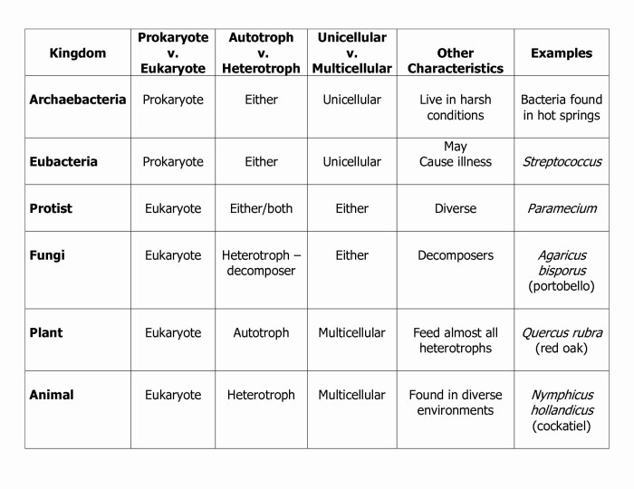 Domains and kingdoms answer key