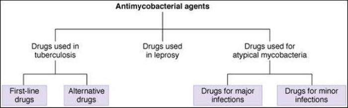 Drugs across the spectrum 9th edition