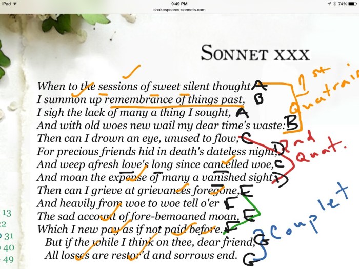 Sonnet 30 shakespeare sweet poem edmund spenser william silent sonnets sessions when thought poemhunter metaphors essays examples