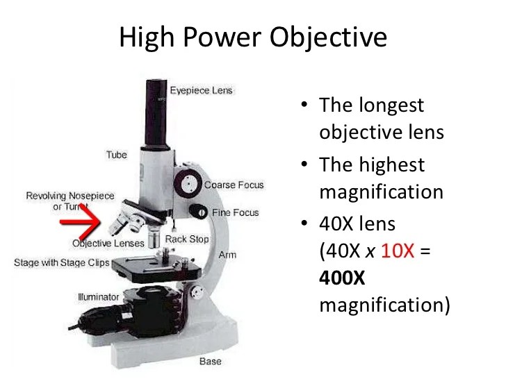 High power objective lens microscope