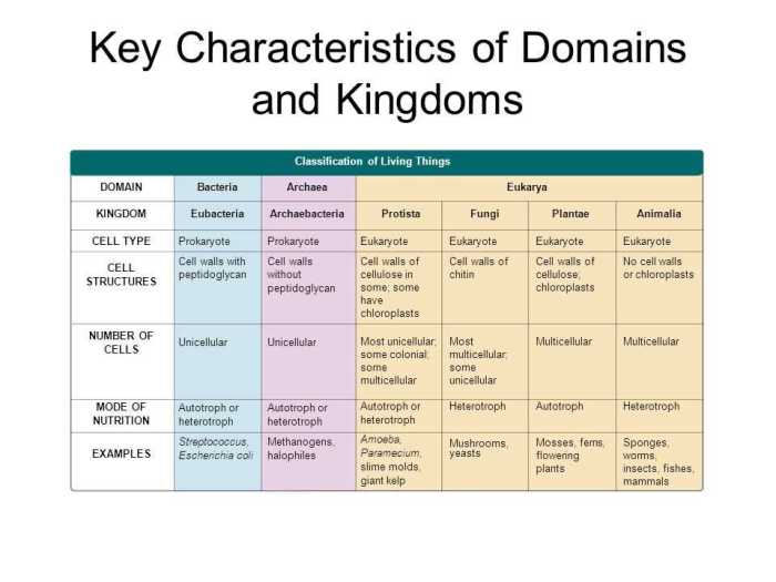 Domains and kingdoms answer key