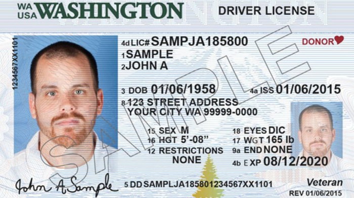 Washington drivers guide worksheet answers