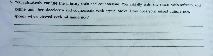 You mistakenly confuse the primary stain and counterstain