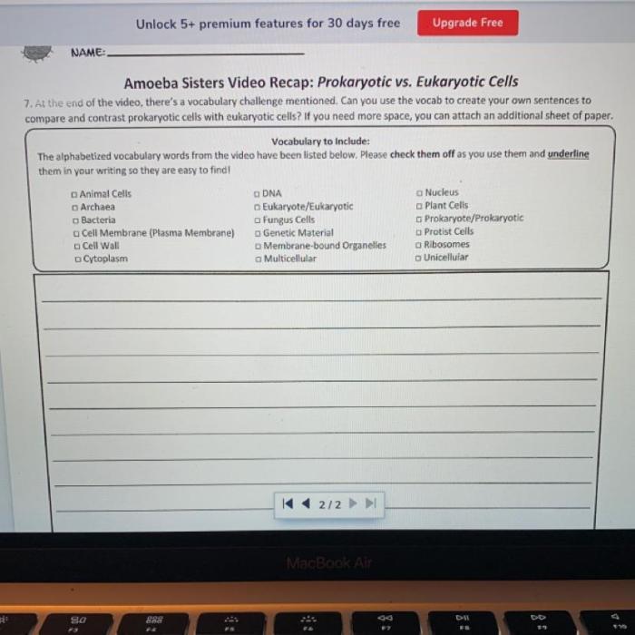 Amoeba sisters video recap prokaryotic vs eukaryotic cells answer key