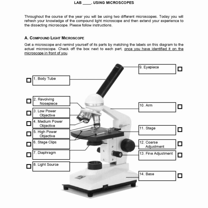 Pre laboratory assignment chemistry answers